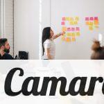 Estrategia marketing de campos