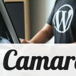 ¿Por qué todo el mundo usa Wordpress?