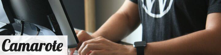 ¿Por qué todo el mundo usa Wordpress?